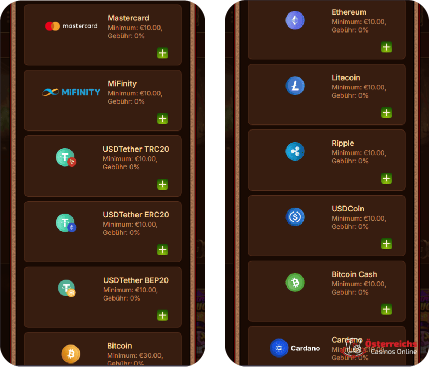 Zahlungsmethoden im WildRovinCasino